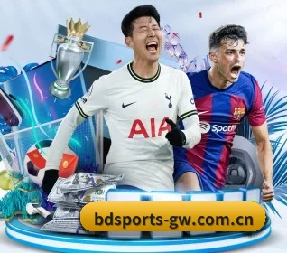 我们在做什么 - BandaoSports