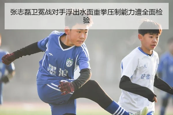 张志磊卫冕战对手浮出水面重拳压制能力遭全面检验（BandaoSports）