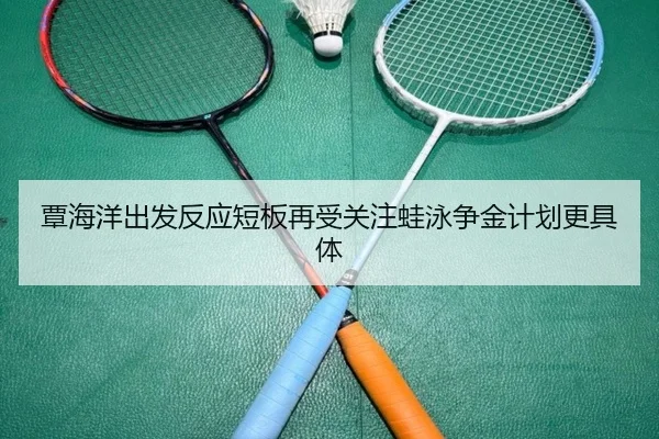 覃海洋出发反应短板再受关注蛙泳争金计划更具体（BandaoSports）
